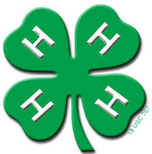 Lincoln County youth to celebrate National 4-H Week