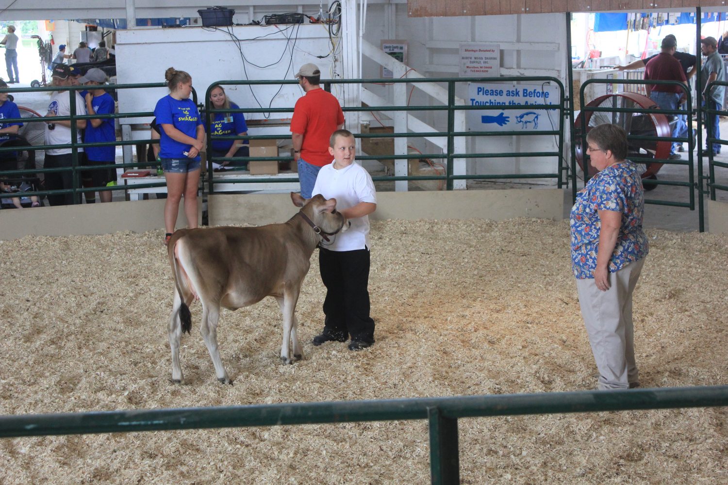 2015 Lincoln County Fair judging results