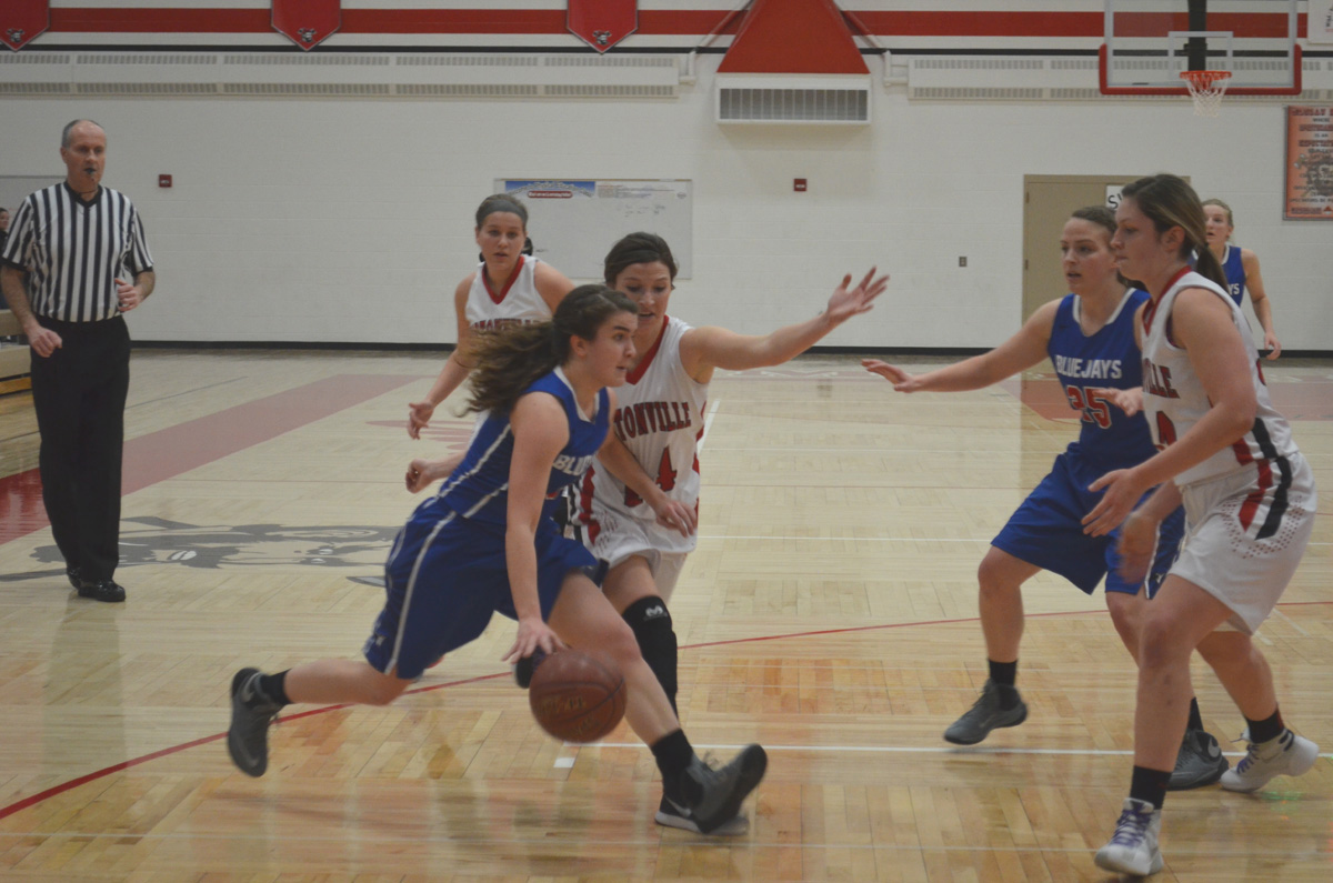 Bluejay girls out-shot by Hortonville, end playoffs