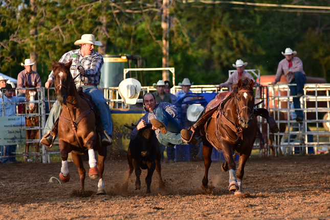 Wisconsin River Pro Rodeo wins national award
