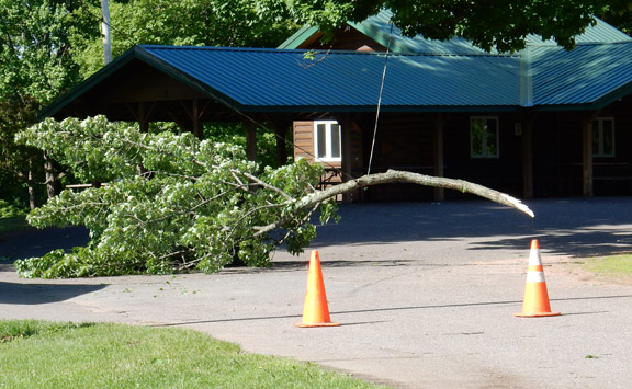Storm causes tree damage, power outages