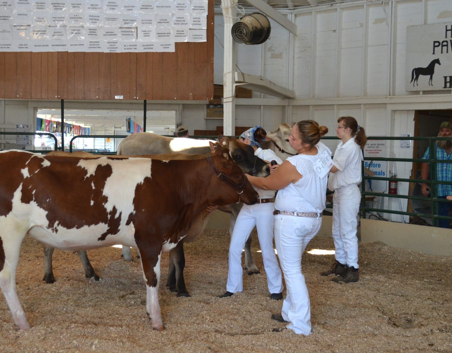 Lincoln County Fair 2016 judging results