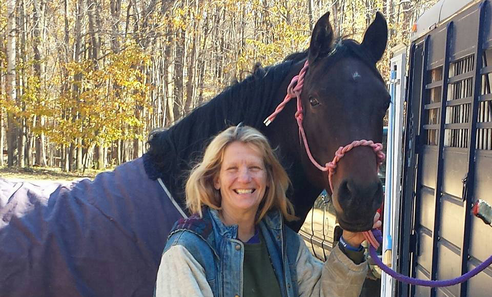 Patience and dedication pay off for local horse owner