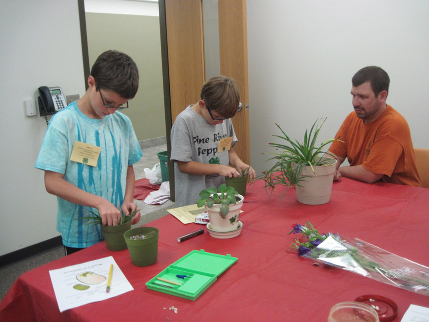 4-H Project Discovery Day: A chance to explore