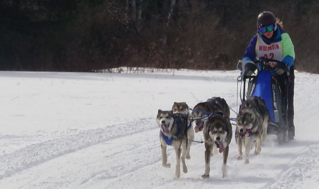 Merrill Winterfest sled dog race postponed