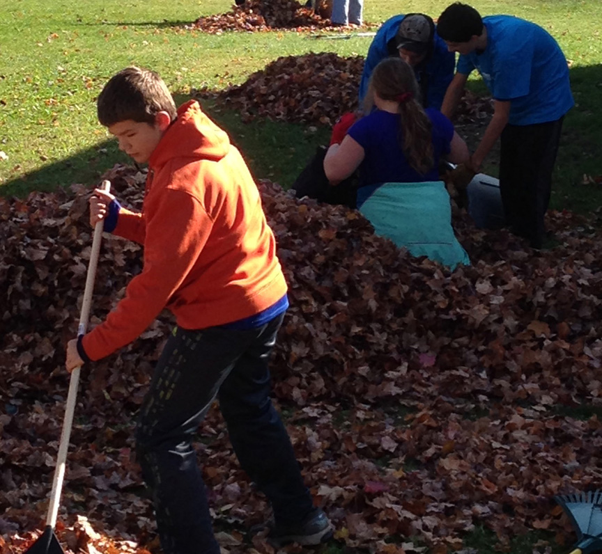 Volunteers needed for annual leaf raking