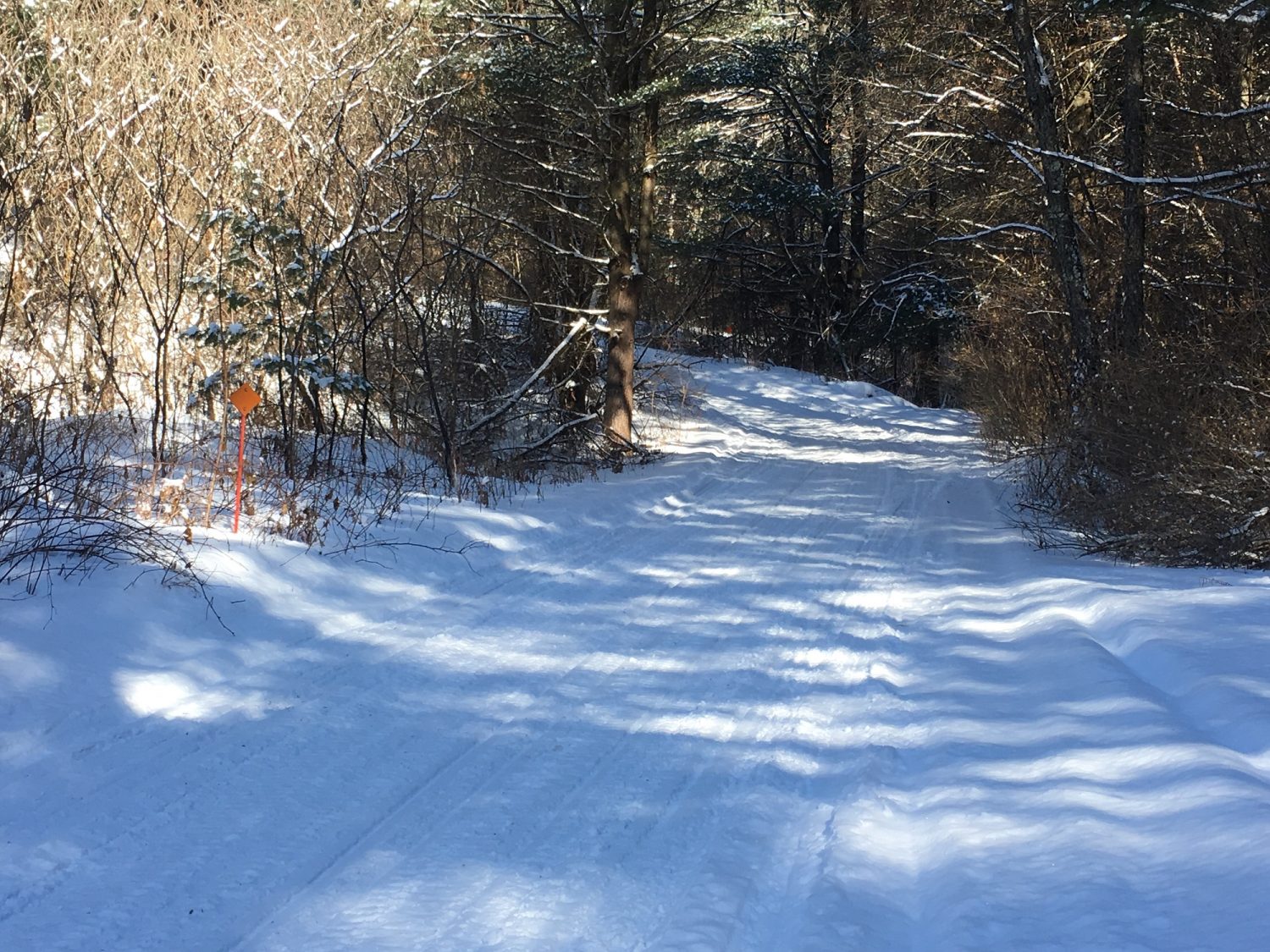 All county snowmobile trails to open Saturday morning