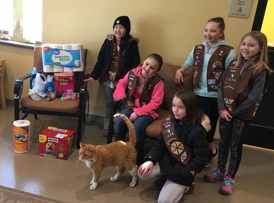 Girl Scouts help out at Humane Society