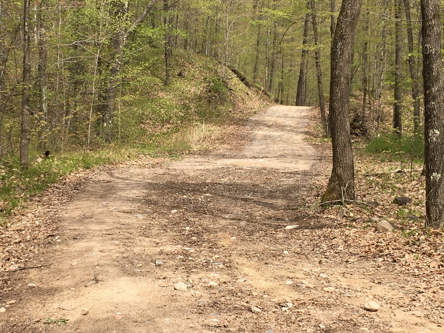 Lincoln County opens summer recreation trails, campgrounds