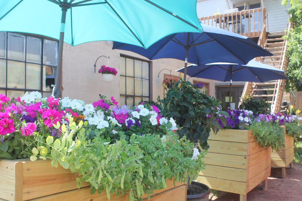 First Street Coffee Station garden named Garden of the Month