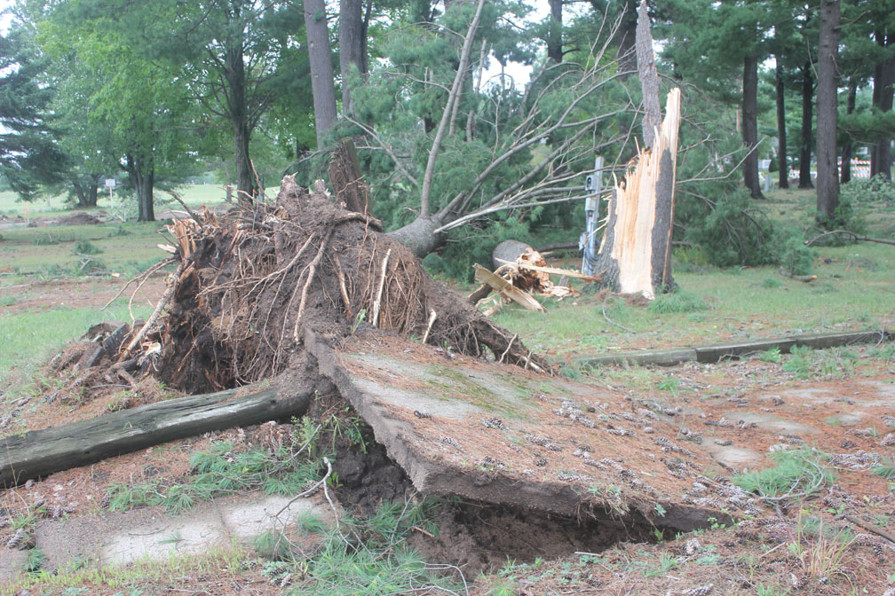 Storm topples trees, knocks out power in Merrill and Gleason