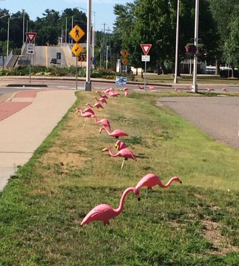 Pink plastic birds raise funds for Spanish Club trip