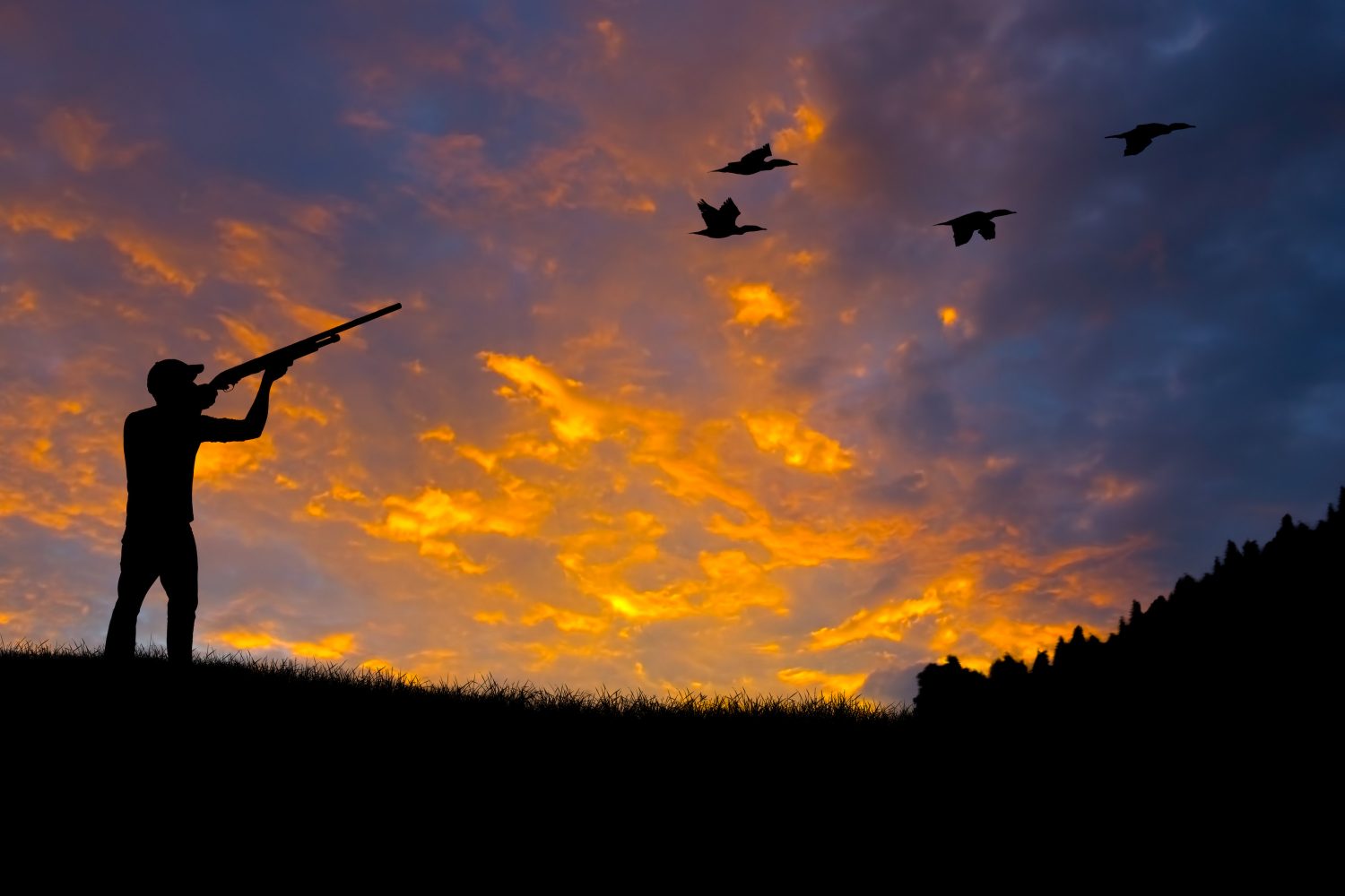 Natural Resources Board approves migratory bird hunting seasons for 2019