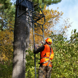 DNR Urges hunters to wear a harness while using treestands this fall