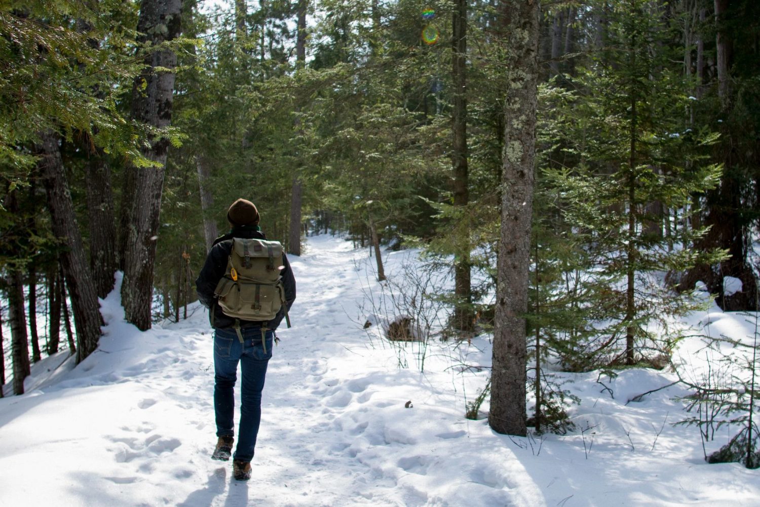 Latest Wisconsin Natural Resources Magazine spotlights seasonal State Park walks and outdoors for everyone