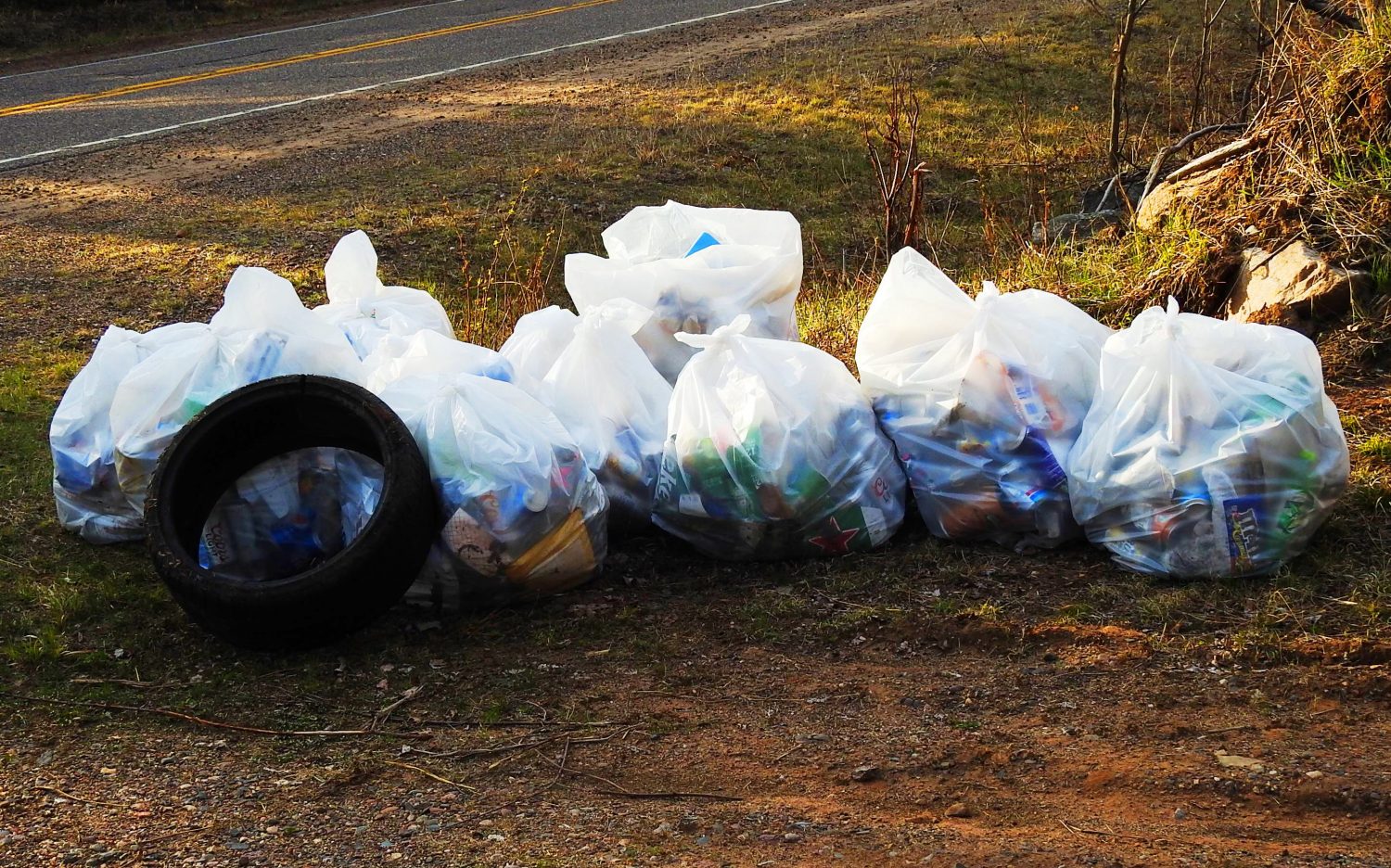 PRMS Student Council cleans up a section of Hwy. 107
