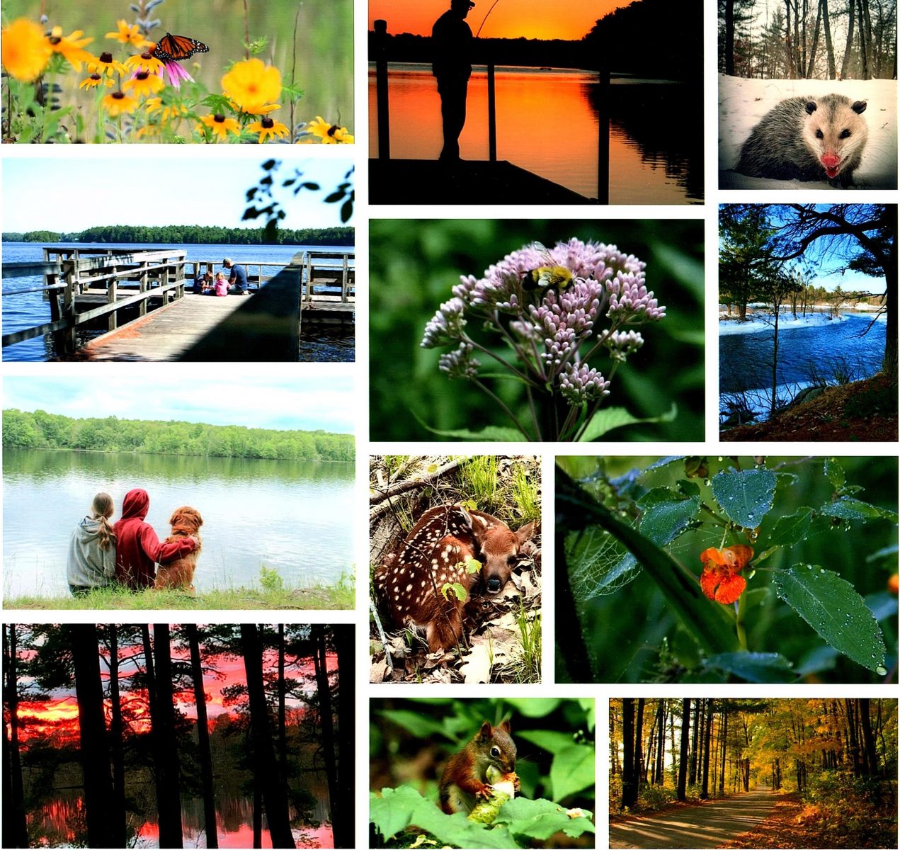 Annual Friends of Council Grounds State Park photography contest