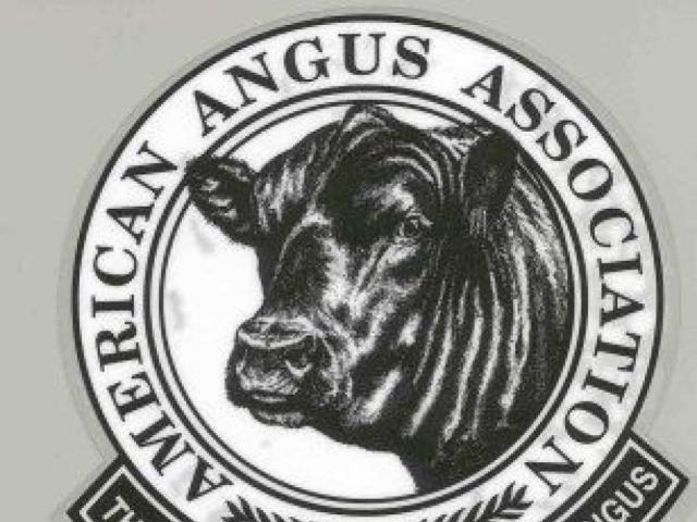 4G Family Farms of Merrill joins membership of American Angus Association