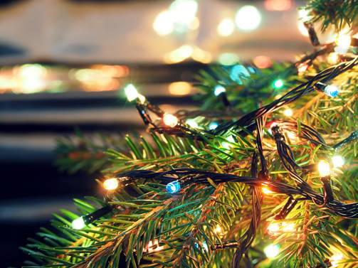 Brighten up your holiday with energy-efficient lights