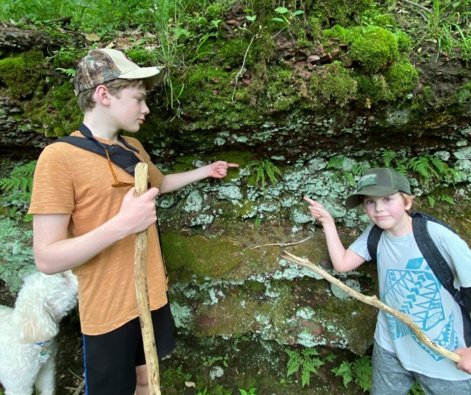 Wisconsin family finds rare fern not seen in 90 years