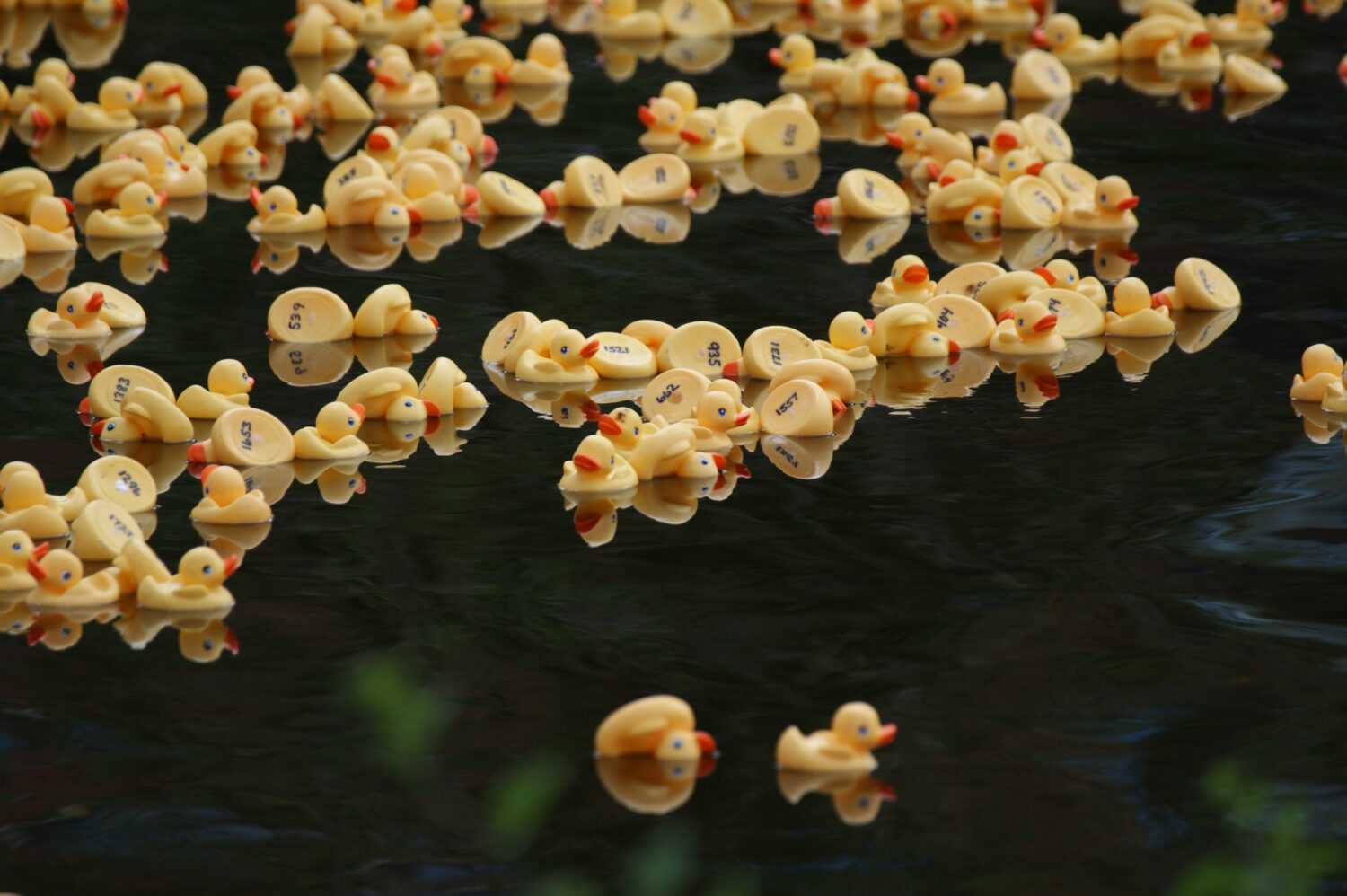10th Annual Lions Rubber Duck Race