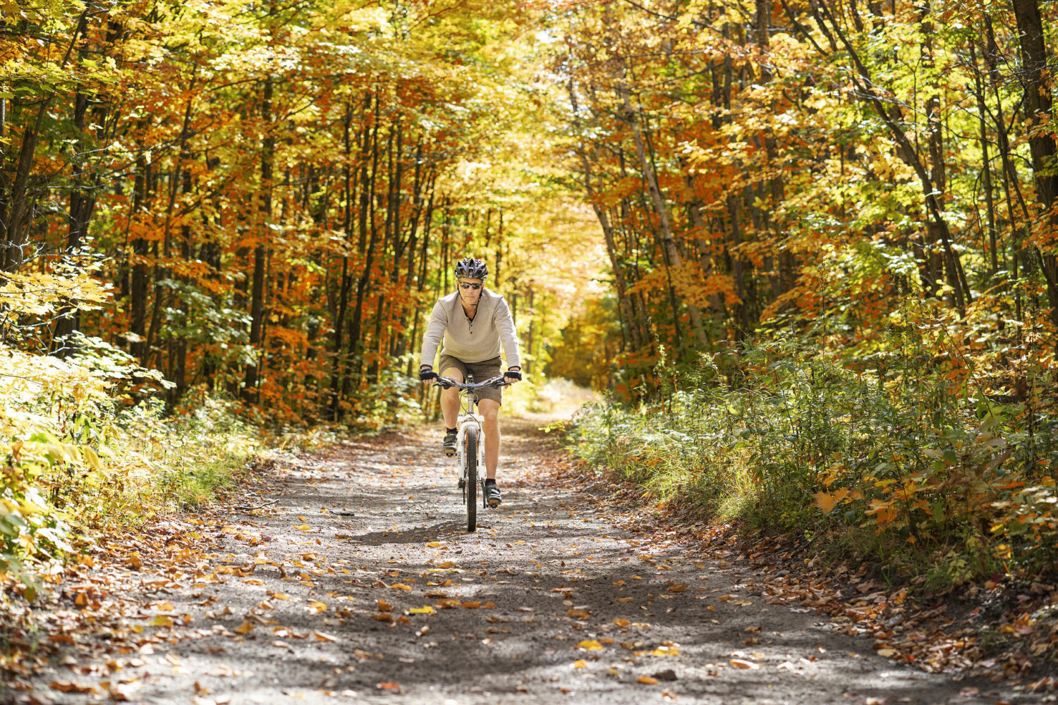 Experience Merrill in fall: Ride in the Colorama Bike Tour