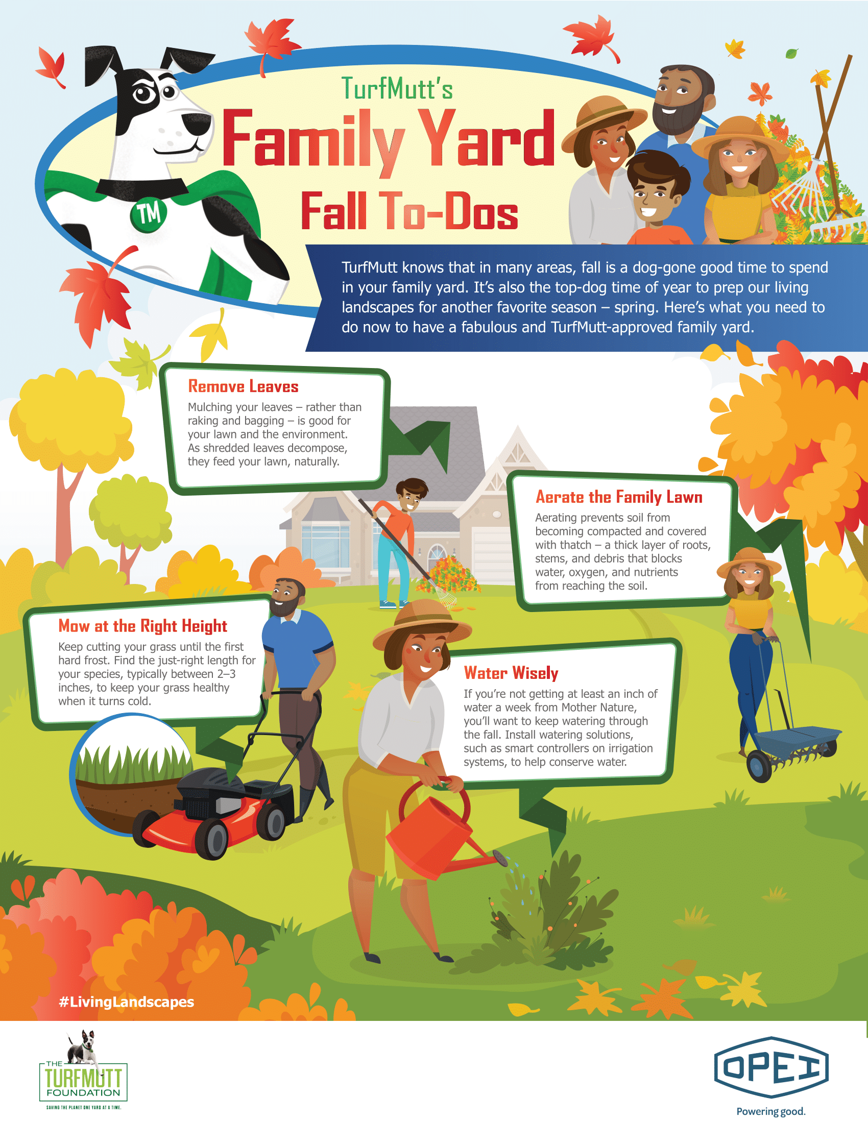 The Fall Family Yard: Tips to make it work for you