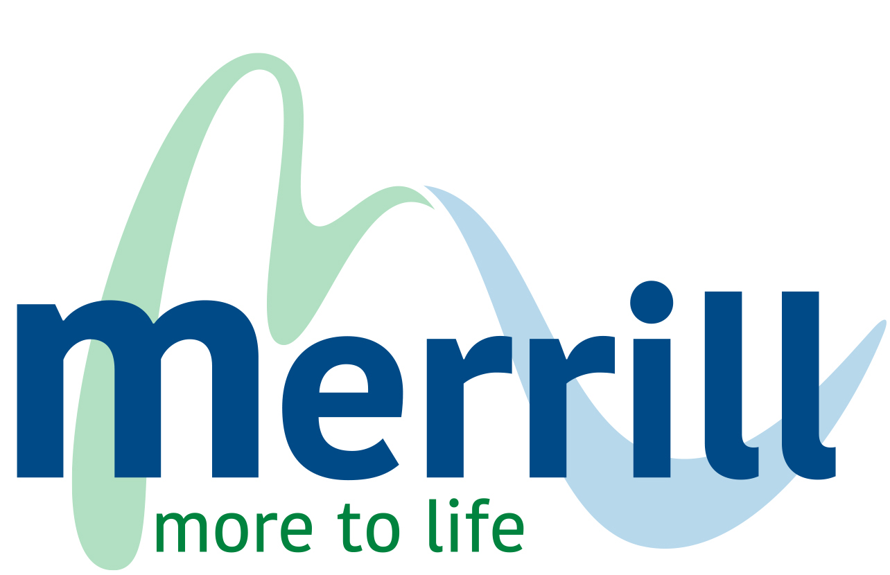 Merrill puts new logo on hold, seeks public input