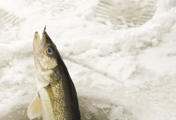 Wisconsin DNR Offering Free Fishing Weekend January 20-21, 2024