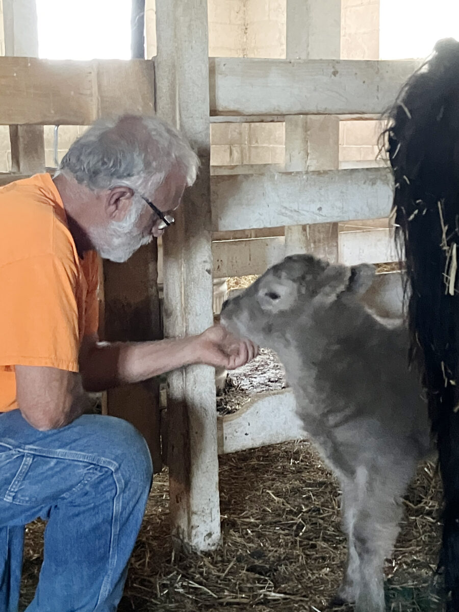 Country Haven Farm welcomes a new baby