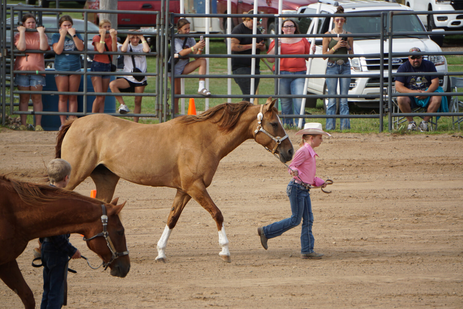 4-H Horse Show provides Grand Stand entertainment