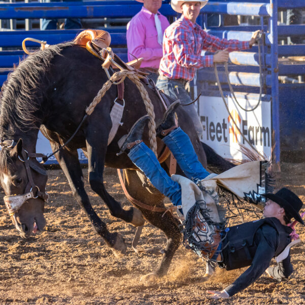2024 WRPR Rodeo wrap up