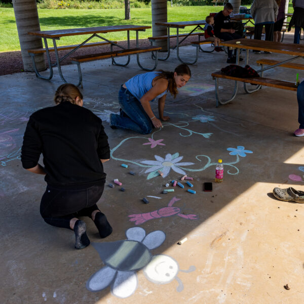 Chalk the Pavilion